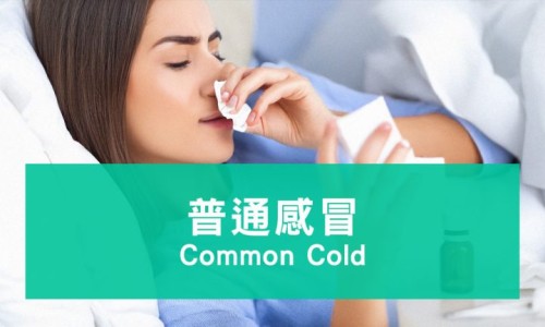 端午节期间网 - 网站提供端午节期间天气预报小常识、端午节期间高速公路收费吗?